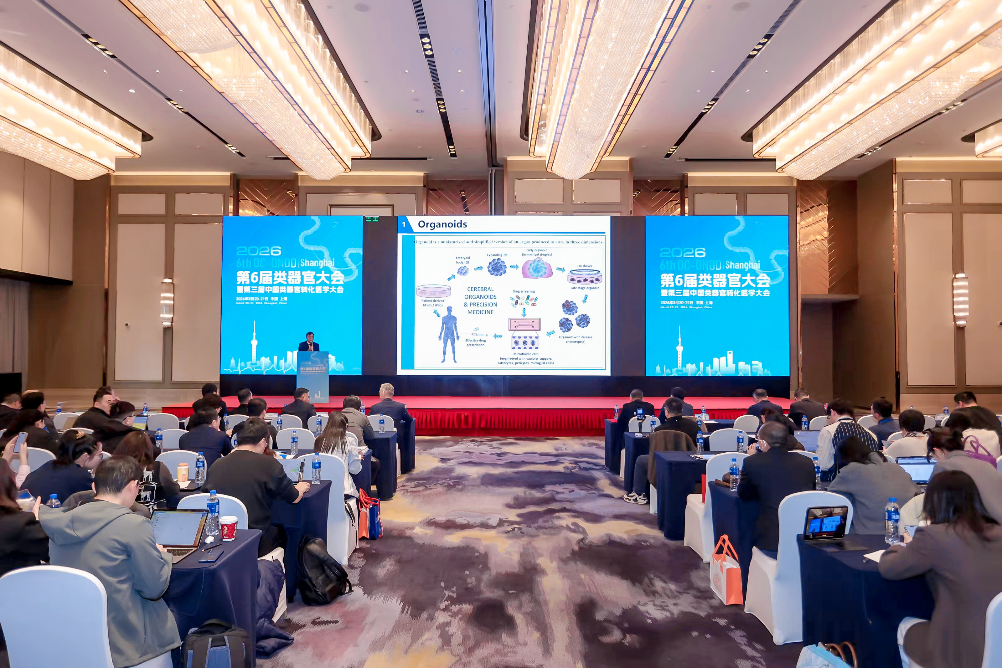 迪亚生物与海尔生物“医工共创实验室”合作揭牌